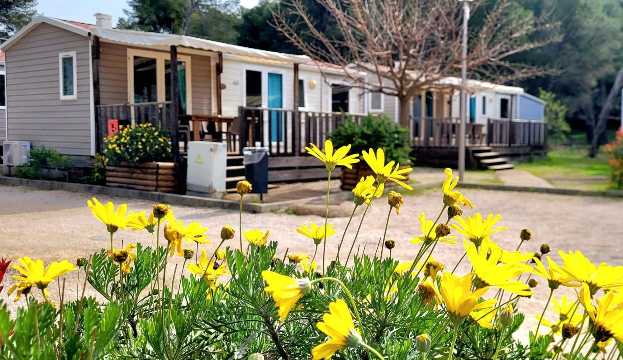 Camping Aux Portes De Cassis โรกฟอร์ต-ลา-เบดูล ภายนอก รูปภาพ